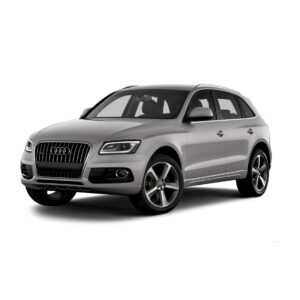 Stop KM/Mile Freezer for Audi Q5/SQ5 FY