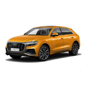 Stop KM/Mile Freezer for AUDI Q8 4M F1 & E/G TRON