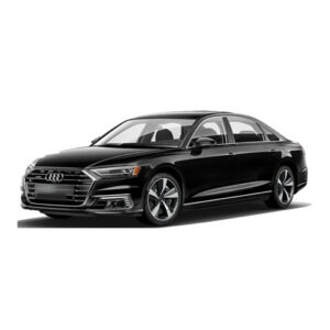 Stop KM/Mile Freezer for Audi A8 / S8 / RS8 D5 4N