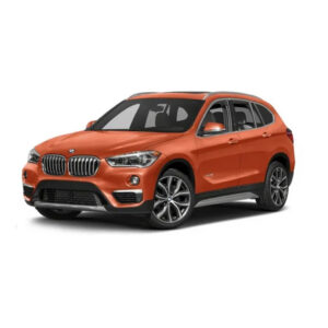 Stop KM/Mile Freezer for the BMW X1 F48 with Black Panel Speedo works