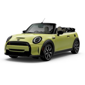Stop KM/Miles Freezer for the Mini Cabrio F57