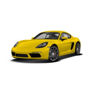 KM/Mile Freezer for the Porsche Cayman 981