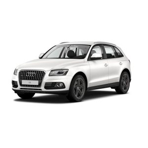 Stop KM/Mile Freezer for the Audi Q5 / SQ5 (Type 8R) 2008-2017